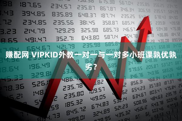 赚配网 VIPKID外教一对一与一对多小班课孰优孰劣？