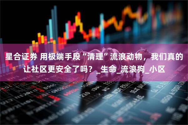 星合证券 用极端手段“清理”流浪动物，我们真的让社区更安全了吗？_生命_流浪狗_小区