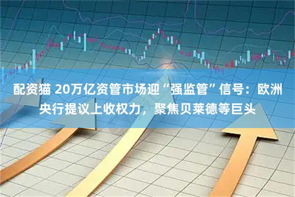 配资猫 20万亿资管市场迎“强监管”信号：欧洲央行提议上收权力，聚焦贝莱德等巨头