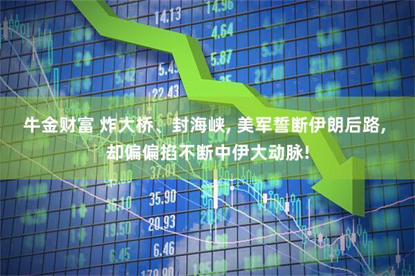 牛金财富 炸大桥、封海峡, 美军誓断伊朗后路, 却偏偏掐不断中伊大动脉!